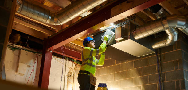 Best Air Duct Mold Removal  in Pevely, MO