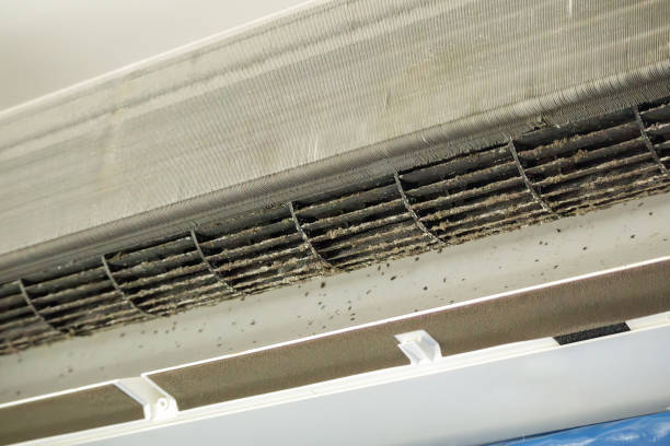 Best HVAC Duct Inspection Services  in Pevely, MO